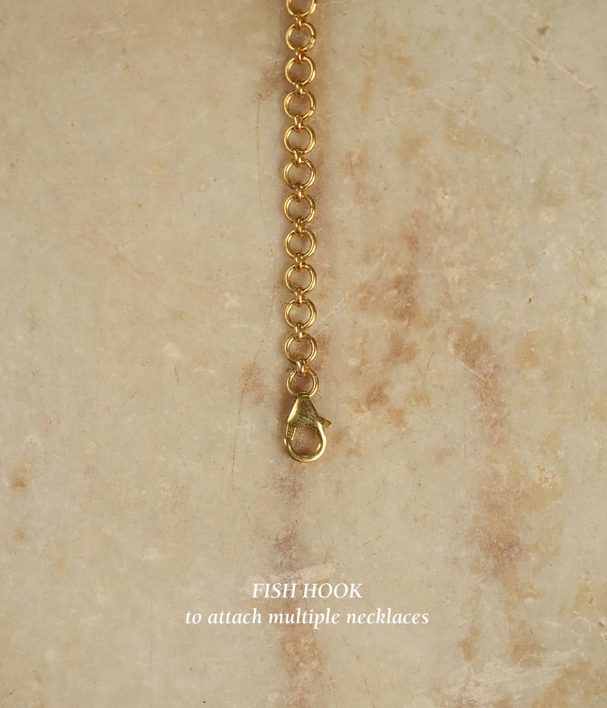 Back Chain With Fish Hook