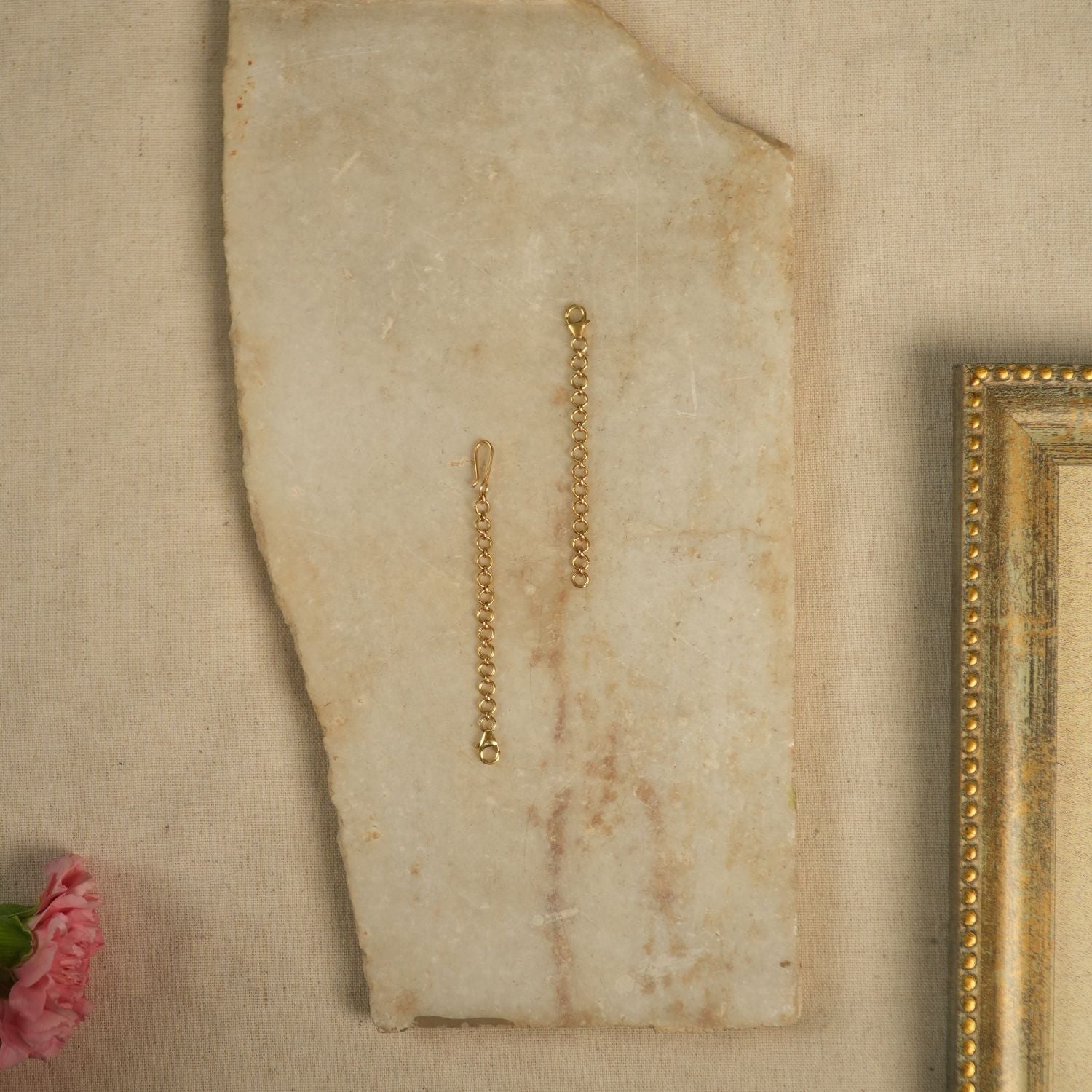 Back Chain With Fish Hook