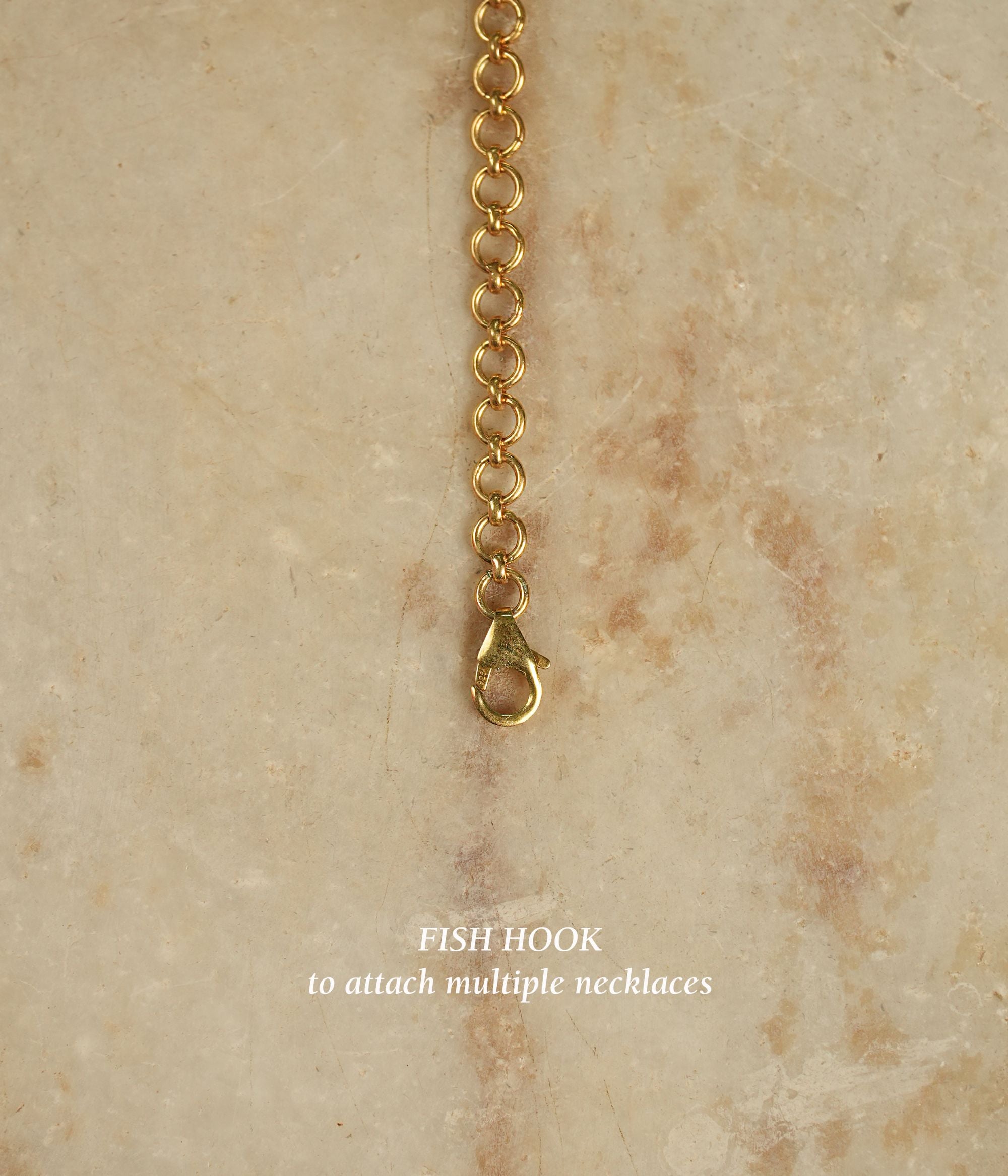 Back Chain With Fish Hook